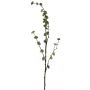 Konstgjord kvist av trollhassel DEYONG med blommor, krämgrön, 90cm, Ø3cm