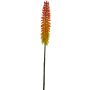 Konstblomma fackellilja QIUMIN, orange, 85cm