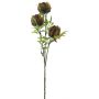 Konstblomma, protea-gren LIUJIA, röd-grön, 75cm