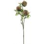 Konstblomma, protea-gren LIUJIA, rosa-grön, 75cm
