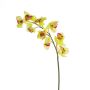 Plastkvist med Cymbidium-orkidé OKSANA, gulgrön, 80cm, Ø6,5cm