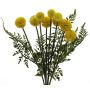 Konstgjord blomsterarrangemang Craspedia MANXIA med kvinnlig ormbunke, stödpinne, gul, 40cm