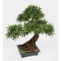 Konstgjord bonsai Podocarpus MASAO med rötter, i keramikskål, 85cm