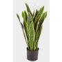 Konstgjord Sansevieria BEYZA, grön-gul, 80cm