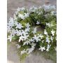 Konstgjord jasminkrans LUZIE med ormbunke, vit, Ø45cm