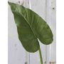 Konstgjort Zantedeschia-blad YELLA, grönt, 85cm