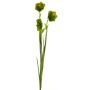 Dekorationsblomma klockblomma WENXIN, grön, 80cm