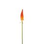 Dekorationsblomma fackellilja MAVORA, röd-orange, 80cm