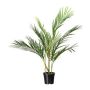 Dekorativ palm Areca YONNE, 70cm