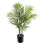 Dekorativ palm, bergspalm KRELO, 65cm