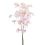 Dekorativ bukett Lathyrus-bunt KIDO, rosa-vit, 50cm