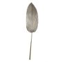Dekorativt Washingtonia palmblad DAIANE, torkade, champagne, 100cm