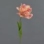 Konstgjord blomma papegojatulpan ALISCHA, rosa-gul, 70cm, Ø19cm