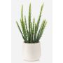 Konstgjord kaktus Euphorbia sipolisii NORSHO i dekorativ kruka, grön, 28cm