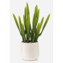 Konstgjord kaktus Euphorbia trigona NORSHO i dekorativ kruka, grön, 28cm