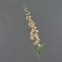 Konstgjord blomma, klockblomma NEVLAR, persikrosa, 95cm, Ø10cm