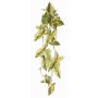 Konstväxt Syngonium LENFYN, på pinne, hängande, grön, 90cm