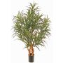 Konstträd Dracaena reflexa anita SENFYN, naturstammar, grönt, 95cm