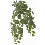 Konstgjord växt Fittonia LONFYN, stödpinne, hängande, grön, 75cm