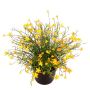 Dekorativ blomma, Impatiens GISINDA i dekorativ kruka, gul, 25cm