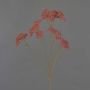 Dekorativ rödblomstrande rödblomstrande ORTEGA, antikrosa, 75cm, Ø7-13cm