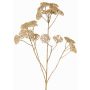 Dekorativ rödblomsterkvist ORTEGA, beige, 75cm, Ø7-13cm