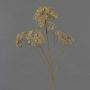 Dekorativ rödblomsterkvist ORTEGA, beige, 75cm, Ø7-13cm