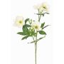 Konstgjord julroskvist ANYALA, krämvit, 60cm, Ø5-6cm