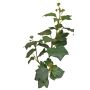 Konstgjord murgröna TOYAH med frukter, grön, 65cm
