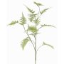 Dekorativ Asparagus plumosus-gren UHERA, grön, 140cm