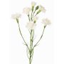 Konstgjord blomkvist, nejlika PIARA, vit, 60cm, Ø3-5cm