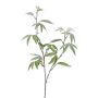 Dekorativ kvist fingeraralia DREVAL, frusen, vit-grön, 65cm