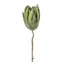 Konstblomma nålkudde Protea LINDAR, grön, 70cm