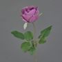 Konstgjord blomma ros POPI, violettgrön, 55cm, Ø7cm