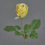 Konstgjord blomma Rose POPI, gul-grön-rosa, 55cm, Ø7cm
