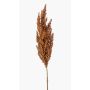 Konstgjord gren av sorghum VANCE med ax, ljusbrun, 80cm