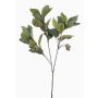 Konstgjord eukalyptusgren VIZIMIR med frukter, grön, 80cm