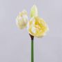 Konstgjord amaryllis GRELTA, krämgul, 80cm