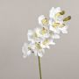 Konstgjord Cymbidium-orkidégren LANAKILA, vit, 70cm, Ø9cm