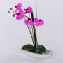 Konstgjord Phalaenopsis-orkidé YANNIE, vass, keramikskål, cerise, 30cm