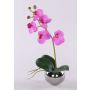 Dekorativ Phalaenopsis-orkidé ZARMINAH i keramikkruka, rötter, cerise, 30cm