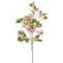Dekorativ kvist med penséer EMOTI, rosa-gul, 85cm