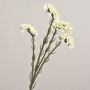 Konstblomma strandflieder AYISHA, torkad look, vit, 65cm, 3,5x6cm