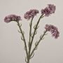 Konstblomma strandflieder AYISHA, torkad look, ljusvioletta, 65cm, 3,5x6cm