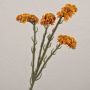 Konstblomma strandflieder AYISHA, torkad look, orange, 65cm, 3,5x6cm