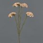 Konstgjord blomma strandflieder AYISHA, torkad look, krämrosa, 65cm, 3,5x6cm