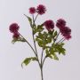 Konstgjord färgkardblomma, blomgren TRUDBERTA, torkad look, vinröd, 55cm, Ø3-4cm