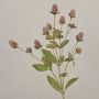 Konstgjord gren med kulamarant TUSIUNE, torkad look, gammaldagsrosa, antikrosat, 70cm, Ø1-2,5cm