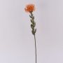 Konstblomma nålkudde Protea URMINE, torkad look, orange, 60cm, Ø9cm