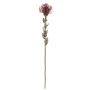 Konstblomma nålkudde Protea URMINE, torkad look, vinröd, 60cm, Ø9cm
